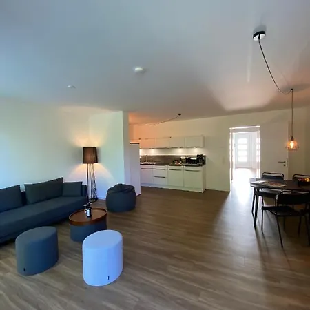 Apartmenthaus Schwingewiesen 7 Apartament